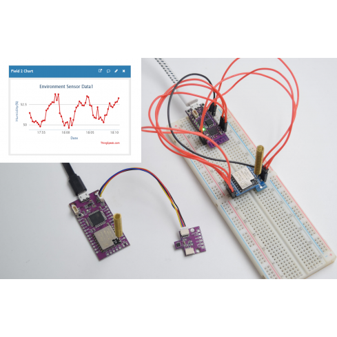 Send Senser Datas via LoRa and Internet (IoT)